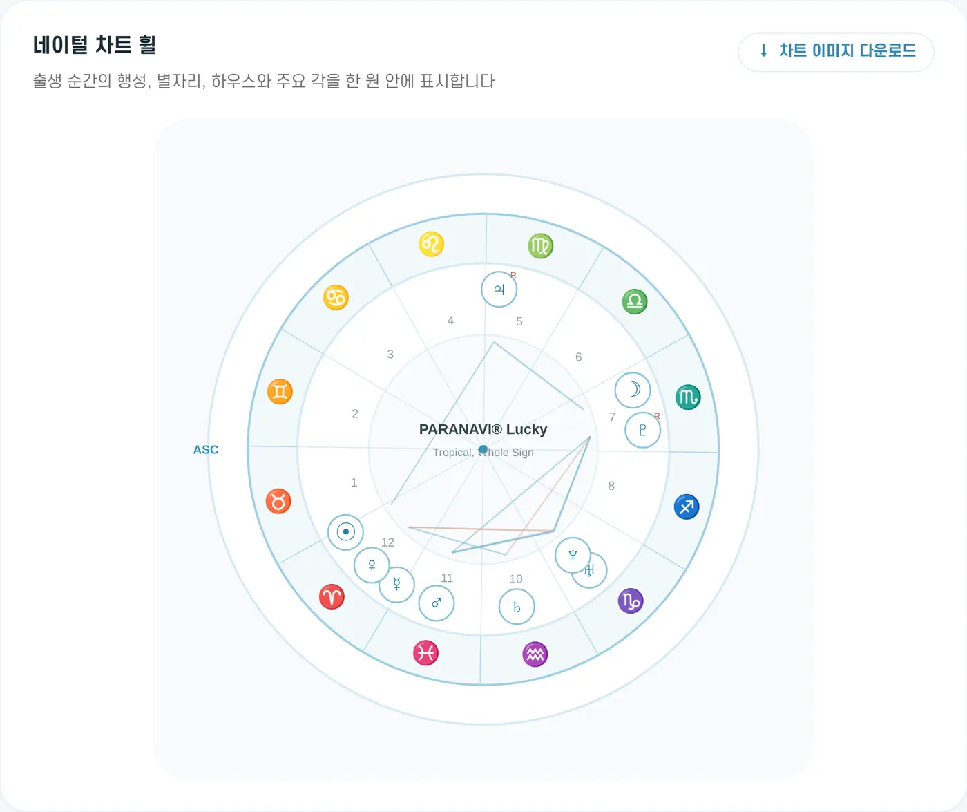 네이털 차트 휠